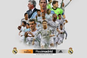 平台服务体系详解：三亿体育