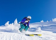 平台发展趋势全面解析：三亿体育