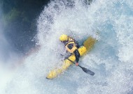 三亿体育平台功能说明深度分析（推荐）